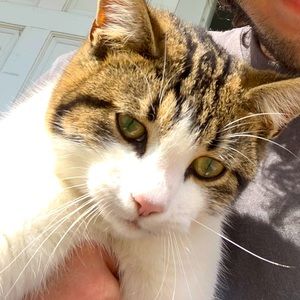 Meet your Posher, Calvin